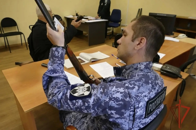 Сотрудники изъяли у жителей Томской области более 1 200 единиц оружия и свыше 6 000 боеприпасов с начала года (видео)