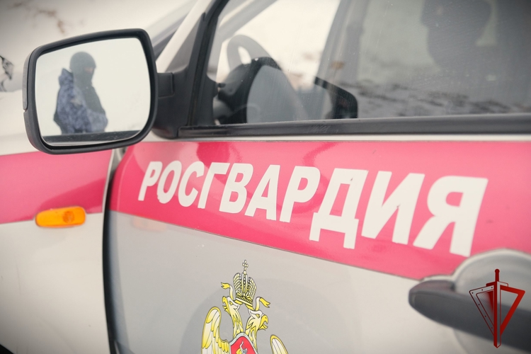 Сотрудники Росгвардии обеспечили безопасность футбольного матча третьего раунда Кубка России в Томске