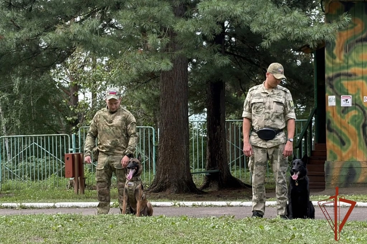 В год 10-летия Росгвардии военнослужащие рассказали школьникам о героических страницах ведомства и профессии кинолога (видео)