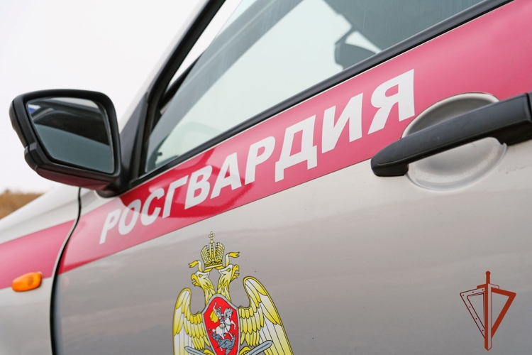 Росгвардейцы в Томской области обеспечили безопасность культурных, спортивных и религиозных мероприятий
